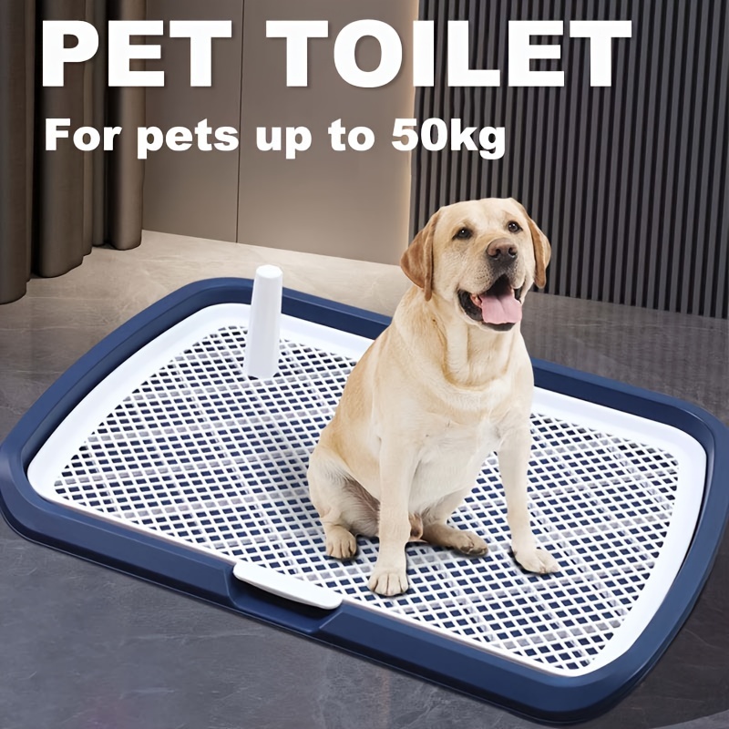 Dog Potty Training Toilet, Pla - Bench Dog Hole 评论和价格